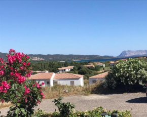 Frank's Home Tanaunella